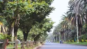 Bahir Dar